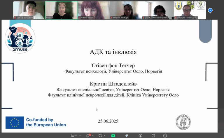 Third webinar of the “Methods of Teaching for Inclusion”