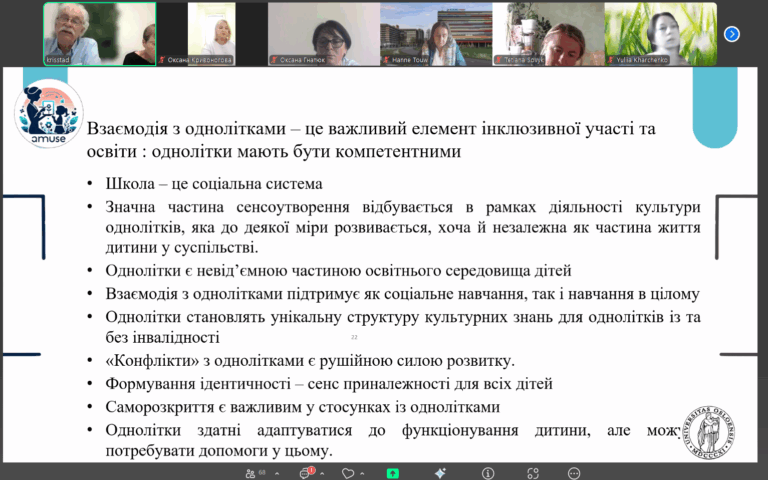 Third webinar of the “Methods of Teaching for Inclusion”
